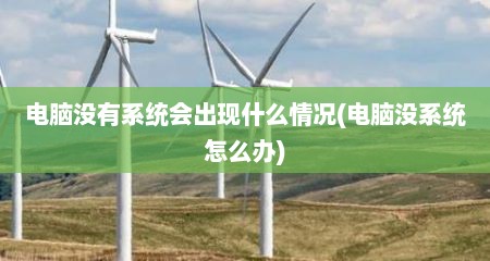 电脑没有系统会出现什么情况(电脑没系统怎么办)