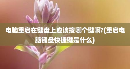 电脑重启在键盘上应该按哪个键啊?(重启电脑键盘快捷键是什么)