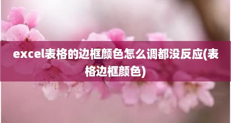 excel表格的边框颜色怎么调都没反应(表格边框颜色)