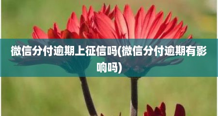 微信分付逾期上征信吗(微信分付逾期有影响吗)
