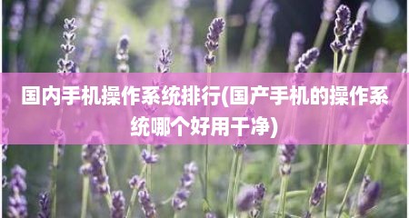 国内手机操作系统排行(国产手机的操作系统哪个好用干净)