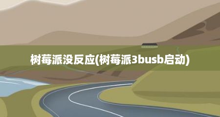 树莓派没反应(树莓派3busb启动)