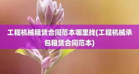 工程机械租赁合同范本哪里找(工程机械承包租赁合同范本)