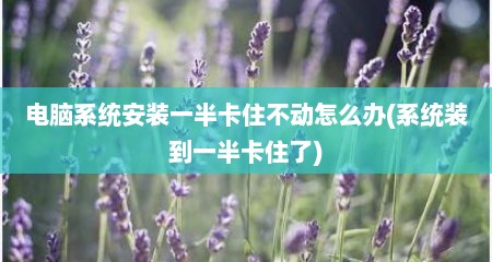 电脑系统安装一半卡住不动怎么办(系统装到一半卡住了)
