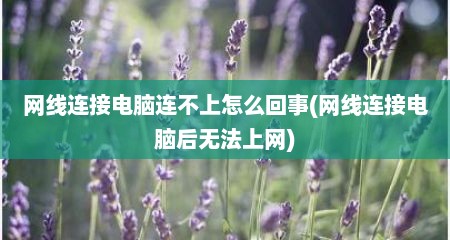 网线连接电脑连不上怎么回事(网线连接电脑后无法上网)