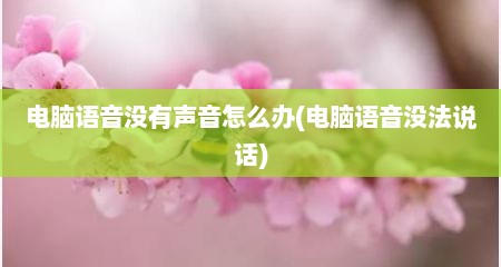 电脑语音没有声音怎么办(电脑语音没法说话)