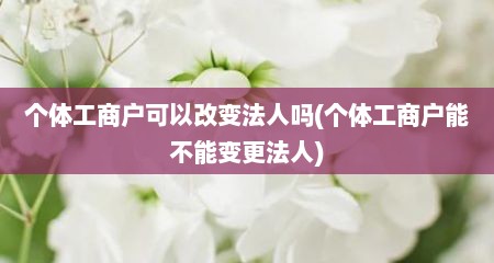 个体工商户可以改变法人吗(个体工商户能不能变更法人)