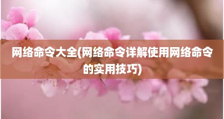 网络命令大全(网络命令详解使用网络命令的实用技巧)