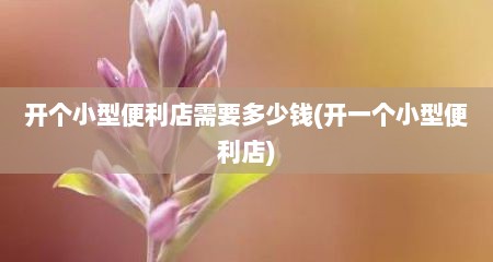 开个小型便利店需要多少钱(开一个小型便利店)