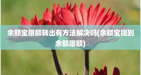 余额宝限额转出有方法解决吗(余额宝提到余额限额)