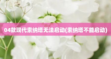 04款现代索纳塔无法启动(索纳塔不能启动)