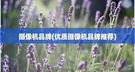 摄像机品牌(优质摄像机品牌推荐)