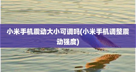 小米手机震动大小可调吗(小米手机调整震动强度)