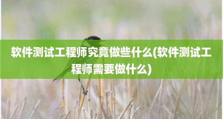 软件测试工程师究竟做些什么(软件测试工程师需要做什么)