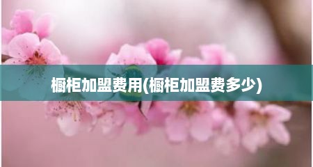 橱柜加盟费用(橱柜加盟费多少)