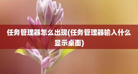 任务管理器怎么出现(任务管理器输入什么显示桌面)