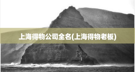 上海得物公司全名(上海得物老板)