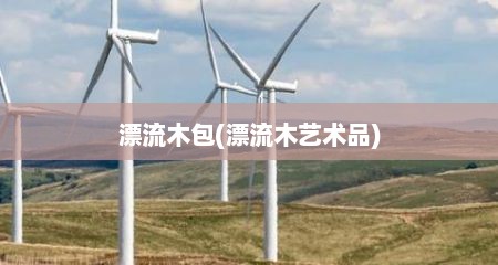 漂流木包(漂流木艺术品)