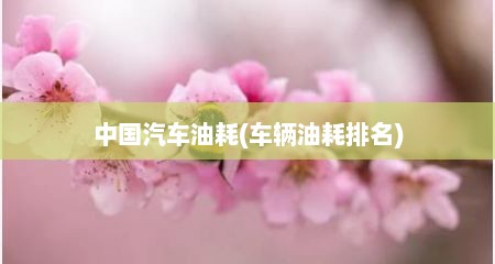 中国汽车油耗(车辆油耗排名)