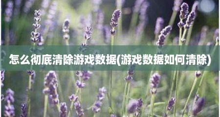 怎么彻底清除游戏数据(游戏数据如何清除)