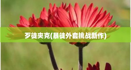 歹徒夹克(暴徒外套挑战新作)