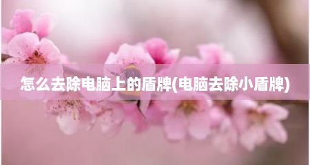 怎么去除电脑上的盾牌(电脑去除小盾牌)