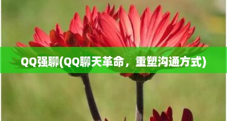 QQ强聊(QQ聊天革命，重塑沟通方式)