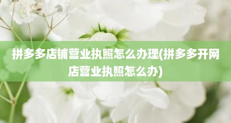 拼多多店铺营业执照怎么办理(拼多多开网店营业执照怎么办)