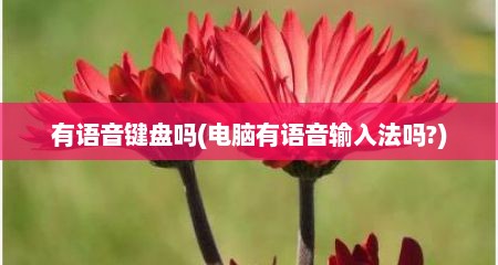有语音键盘吗(电脑有语音输入法吗?)