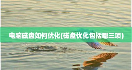 电脑磁盘如何优化(磁盘优化包括哪三项)