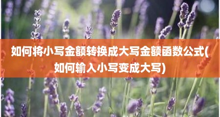 如何将小写金额转换成大写金额函数公式(如何输入小写变成大写)