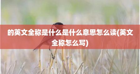 的英文全称是什么是什么意思怎么读(英文全称怎么写)