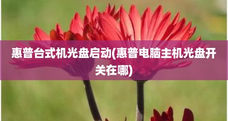 惠普台式机光盘启动(惠普电脑主机光盘开关在哪)