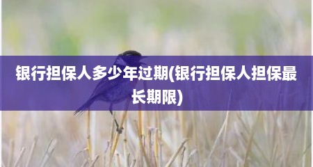 银行担保人多少年过期(银行担保人担保最长期限)