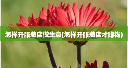 怎样开服装店做生意(怎样开服装店才赚钱)
