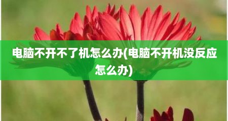 电脑不开不了机怎么办(电脑不开机没反应怎么办)