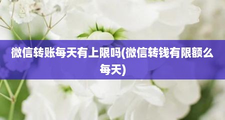 微信转账每天有上限吗(微信转钱有限额么每天)