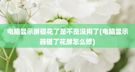电脑显示屏砸花了是不是没用了(电脑显示器砸了花屏怎么修)