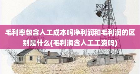 毛利率包含人工成本吗净利润和毛利润的区别是什么(毛利润含人工工资吗)