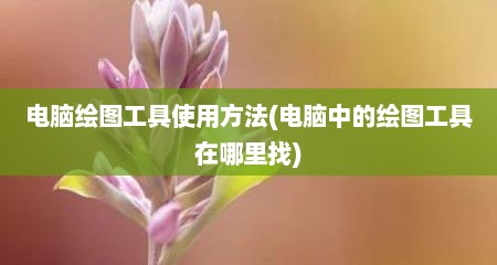 电脑绘图工具使用方法(电脑中的绘图工具在哪里找)