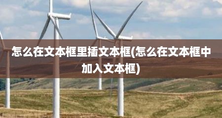 怎么在文本框里插文本框(怎么在文本框中加入文本框)