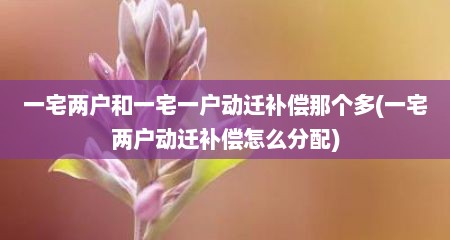 一宅两户和一宅一户动迁补偿那个多(一宅两户动迁补偿怎么分配)