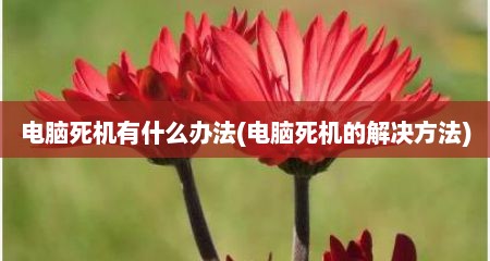 电脑死机有什么办法(电脑死机的解决方法)