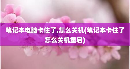 笔记本电脑卡住了,怎么关机(笔记本卡住了怎么关机重启)