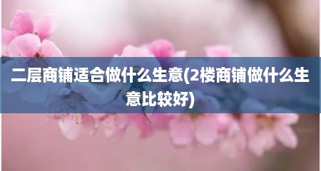 二层商铺适合做什么生意(2楼商铺做什么生意比较好)