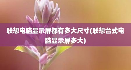 联想电脑显示屏都有多大尺寸(联想台式电脑显示屏多大)