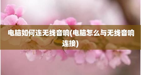电脑如何连无线音响(电脑怎么与无线音响连接)