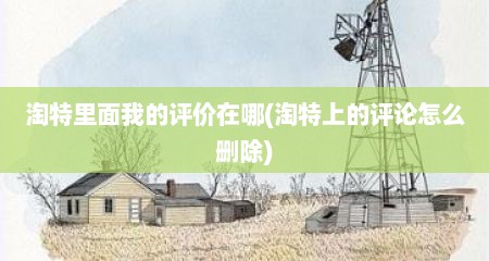 淘特里面我的评价在哪(淘特上的评论怎么删除)