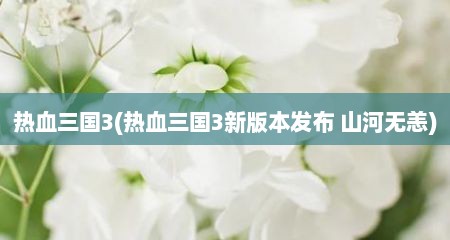 热血三国3(热血三国3新版本发布 山河无恙)