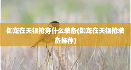 御龙在天银枪穿什么装备(御龙在天银枪装备推荐)